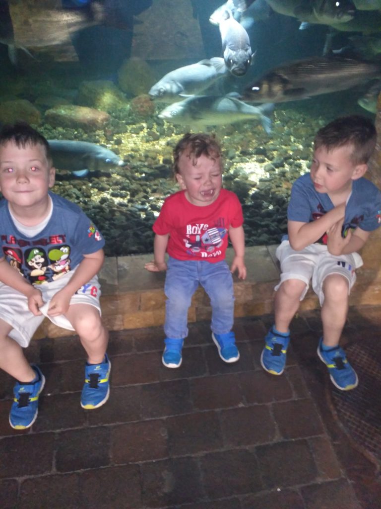 3 boys, twins, crying toddler, aquarium, brothers, smilng